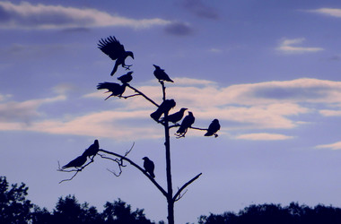 Similar image 1432525
