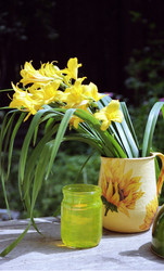 Similar image 1432542