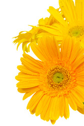 Similar image 1432566