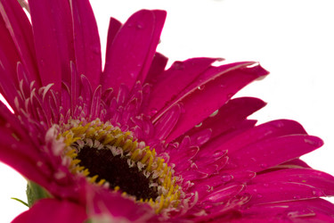 Similar image 1432568