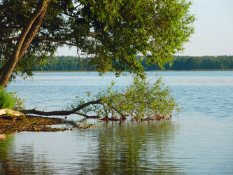 Similar image 1432584