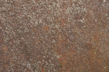 Similar image 1432627