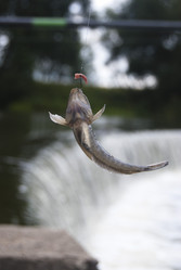 Similar image 1432633