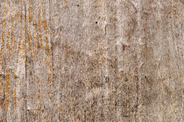 Similar image 1432648