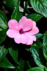 Similar image 1432668