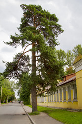 Similar image 1432683