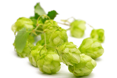 Similar image 1432739