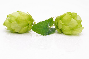 Similar image 1432742