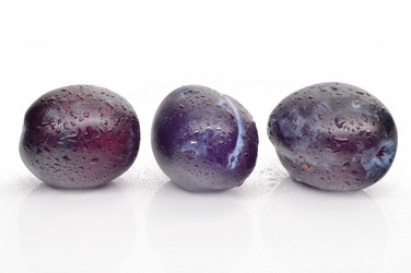 Similar image 1432762