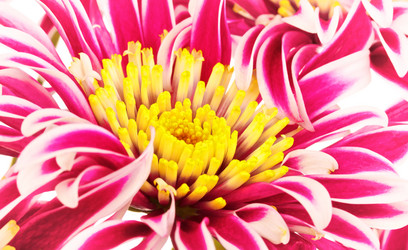 Similar image 1432928