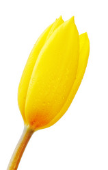 Similar image 1432935