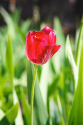 Similar image 1432937