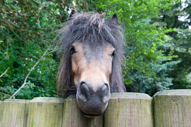 Similar image 1432965