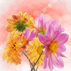 Similar image 1432986