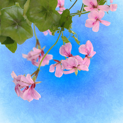 Similar image 1432987