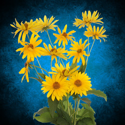 Similar image 1432995