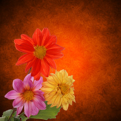 Similar image 1432996