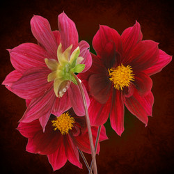 Similar image 1432999