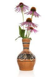 Similar image 1433014