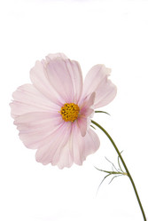 Similar image 1433018