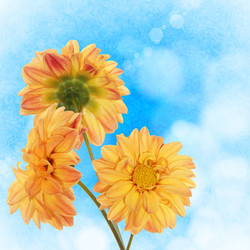 Similar image 1433021