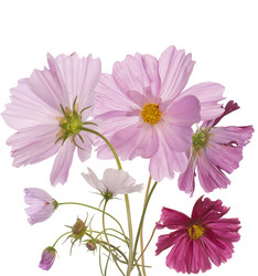 Similar image 1433022