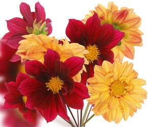 Similar image 1433027