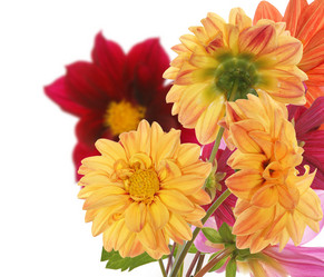 Similar image 1433031