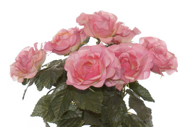 Similar image 1433045