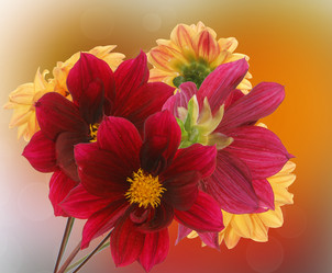 Similar image 1433049