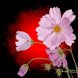 Similar image 1433057