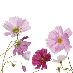 Similar image 1433060