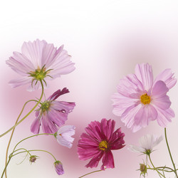 Similar image 1433061