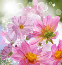 Similar image 1433066