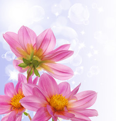 Similar image 1433070