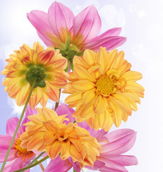 Similar image 1433072