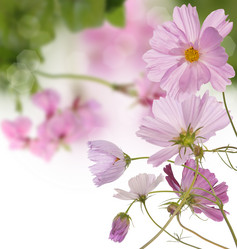 Similar image 1433075