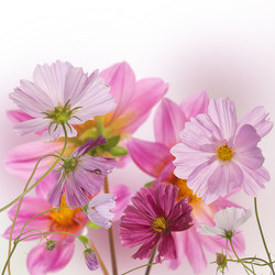 Similar image 1433076