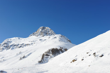 Similar image 1433148