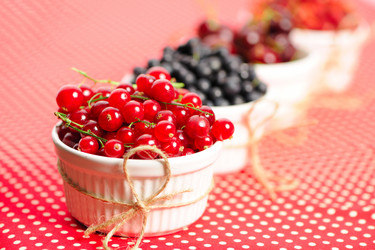 Similar image 1433159