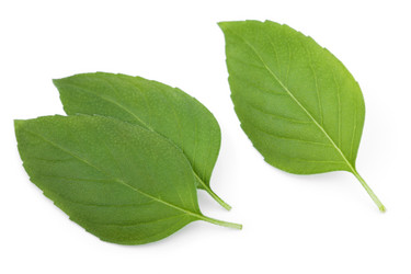 Similar image 1433506