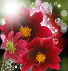 Similar image 1433508