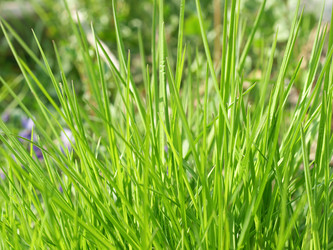 Similar image 1433519