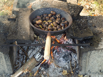 Similar image 1433549