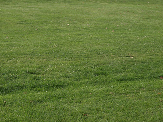 Similar image 1433554