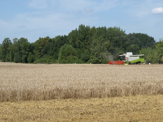 Similar image 1433557