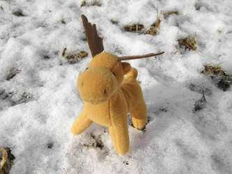 Similar image 1433561