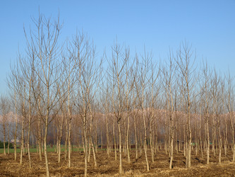 Similar image 1433684