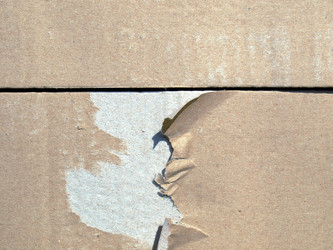 Similar image 1433733