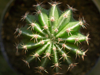 Similar image 1433742